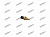 Датчик температуры 8-98023-883-0 NPR NQR 4HK1 (K)